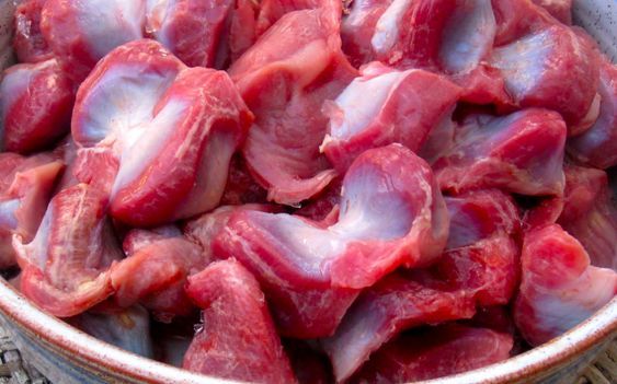 Gizzard
