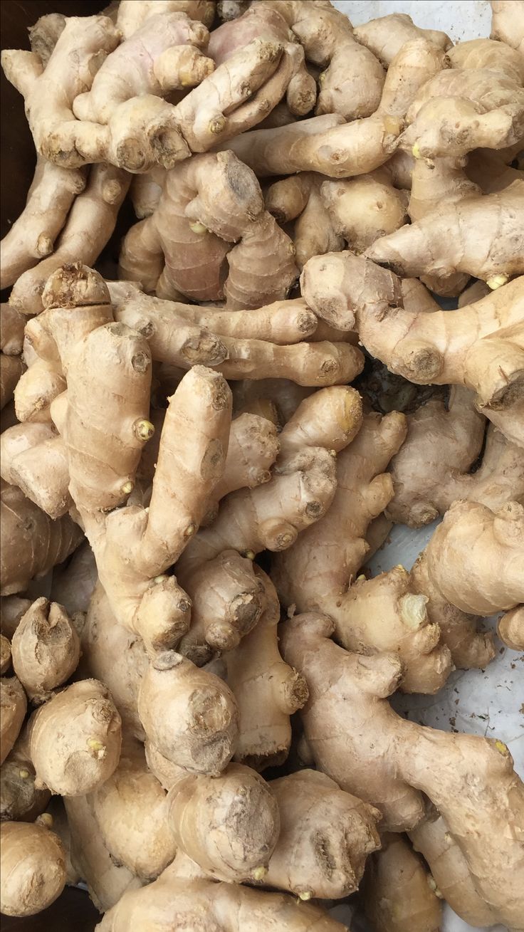 Ginger